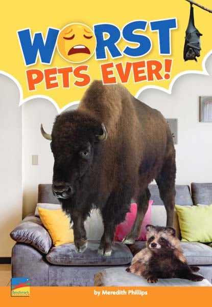 Dynamite Decodables View Virtual Samples